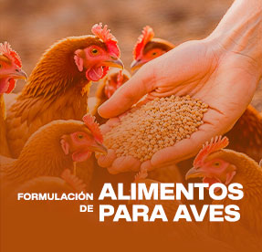 Taller: Formulación de Alimentos Para Aves (3C-25)