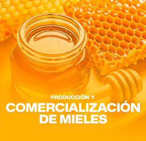 Taller: Producción y Comercialización de Mieles (3C-25)