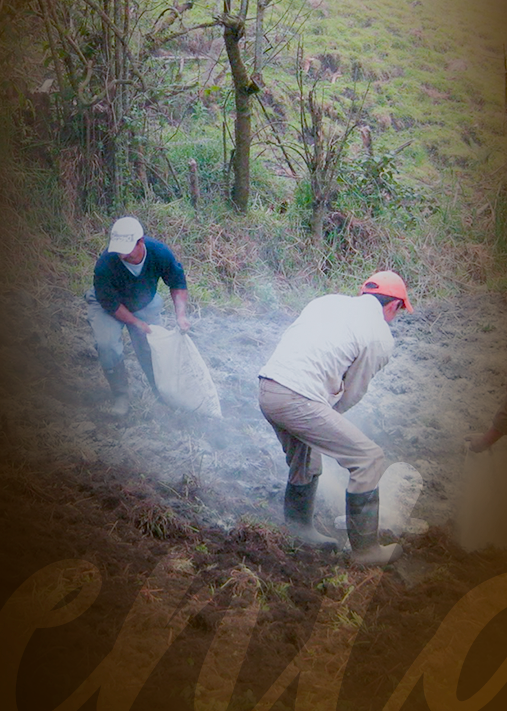 Taller: ENMIENDAS CORRECTIVAS para Suelos Acidos (1T-26)
