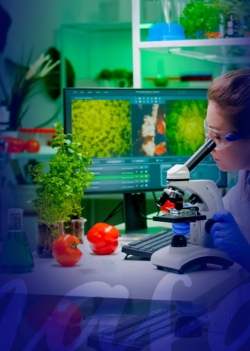 Taller: ISO/IEC 17025 Sistemas de Gestión para Laboratorios (2T-26)