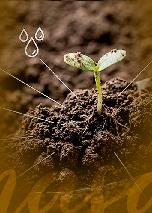Taller: Analisis y Monitoreos de Suelos para la Agricultura V2 (2T-26)