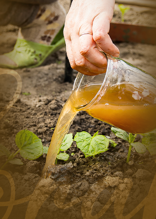 Taller: Elaboracion de Abonos Organicos Liquidos (2T-26) V2